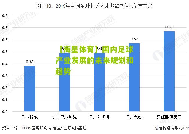 国内足球产业发展的未来规划和趋势